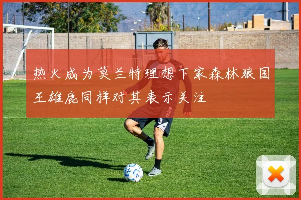 热火成为莫兰特理想下家森林狼国王雄鹿同样对其表示关注